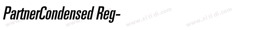 PartnerCondensed Reg字体转换